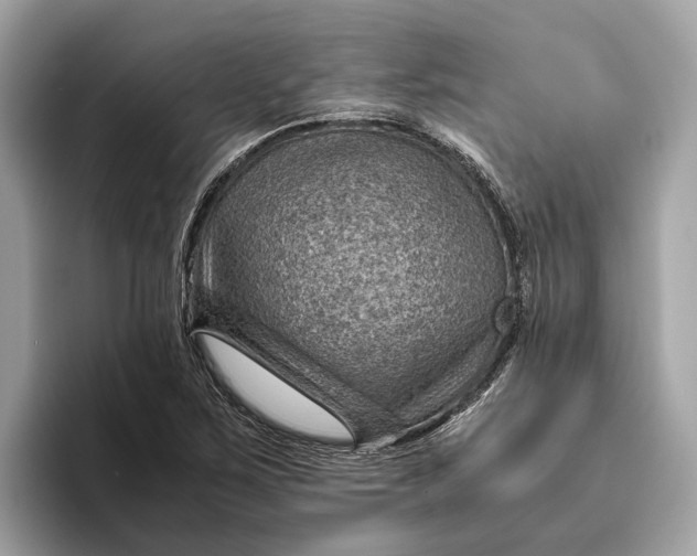 X0000096441267200802141445