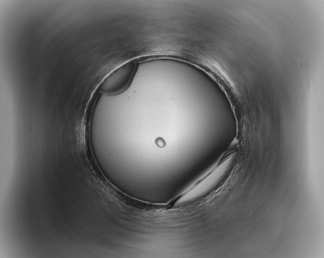 X0000096441268200802141444