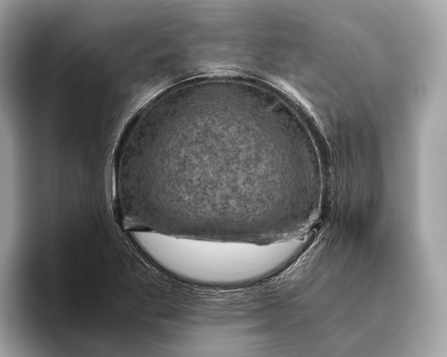 X0000096441269200802141444