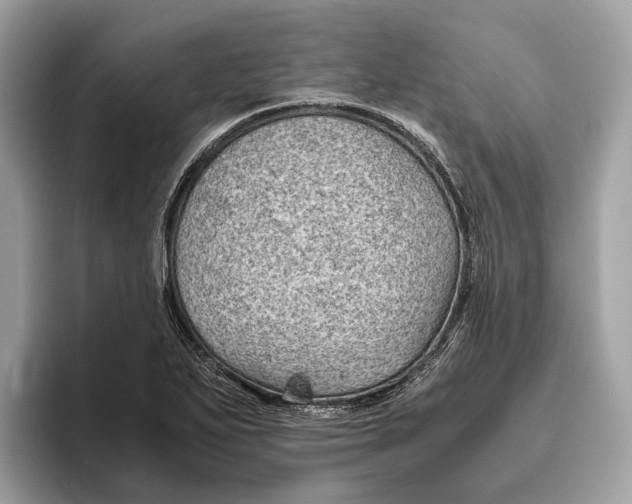 X0000096441271200802141444