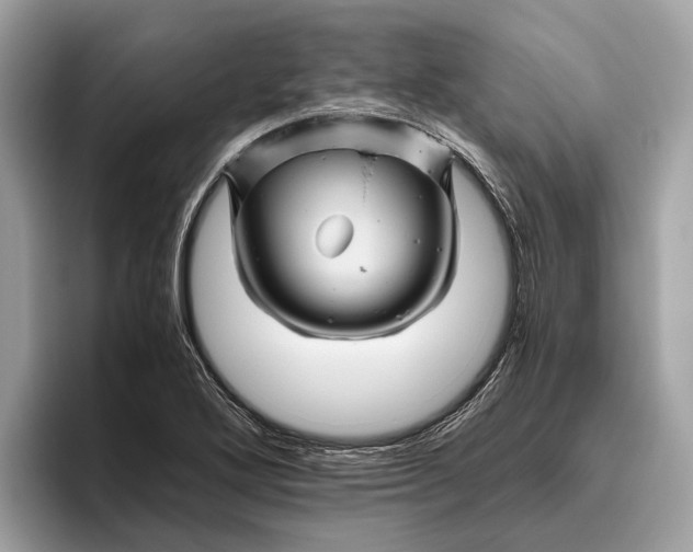 X0000096441272200802141444