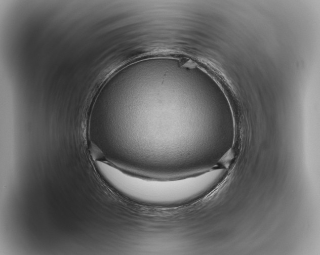 X0000096441273200802141444