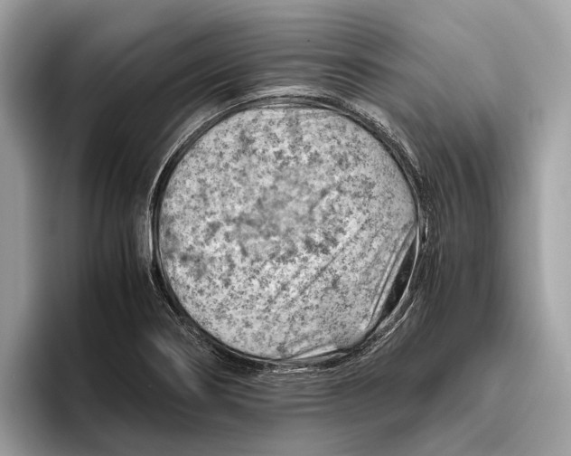 X0000096441274200802141444