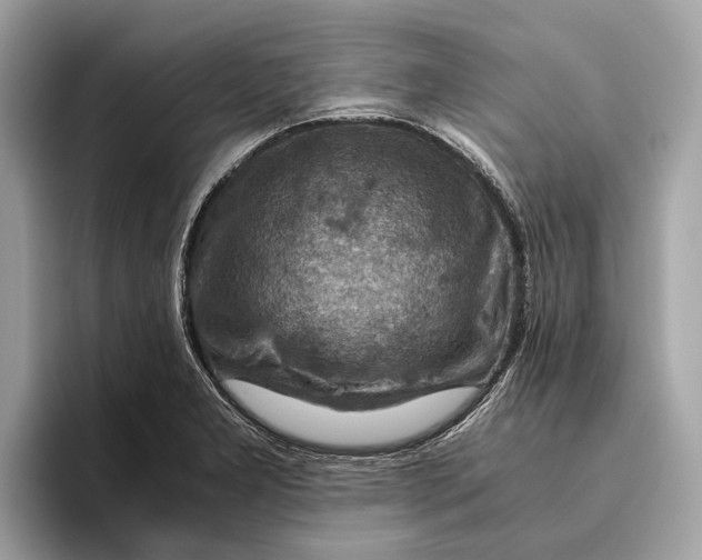 X0000096441277200802141444