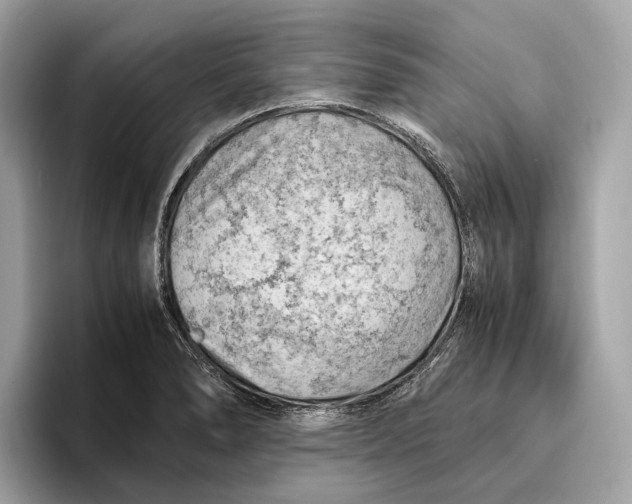 X0000096441278200802141444