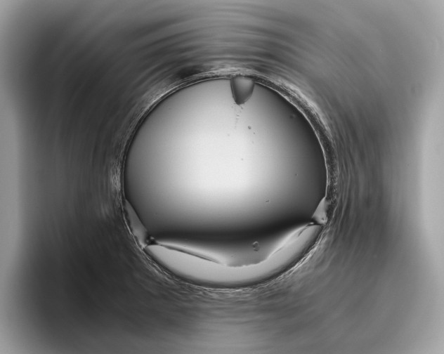 X0000096441281200802141444