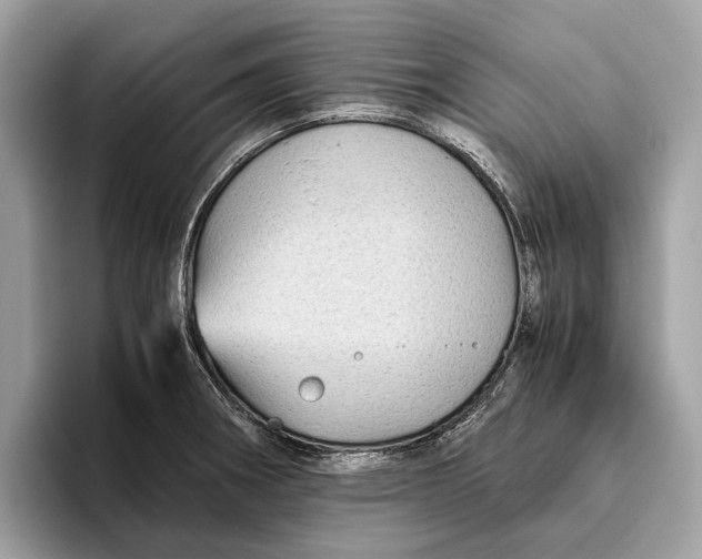 X0000096441282200802141444