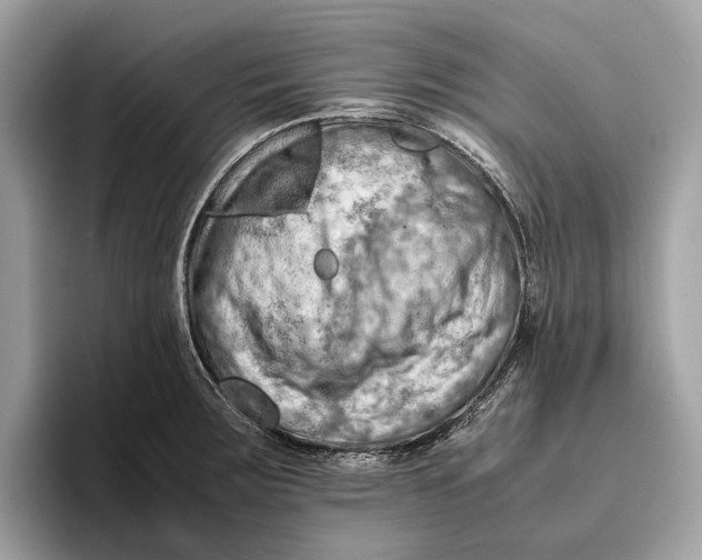 X0000096441283200802141444