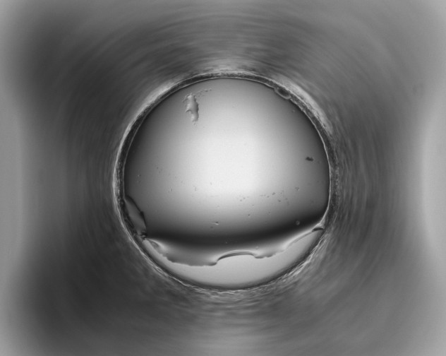 X0000096441285200802141444