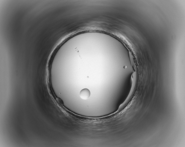 X0000096441286200802141444