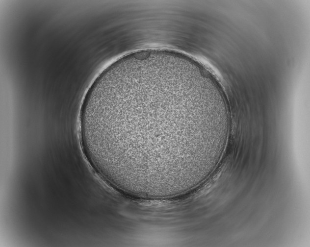 X0000096441287200802141444