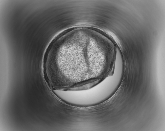 X0000096441288200802141444