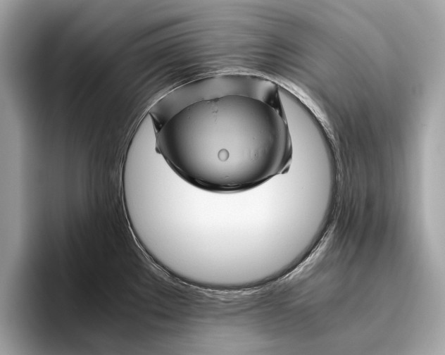 X0000096441289200802141444