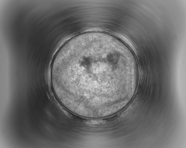 X0000096441290200802141444