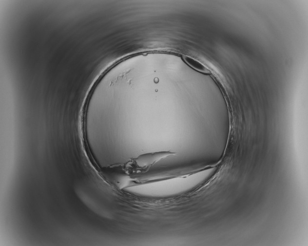 X0000096441291200802141444