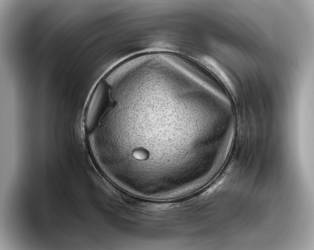 X0000096441292200802141444