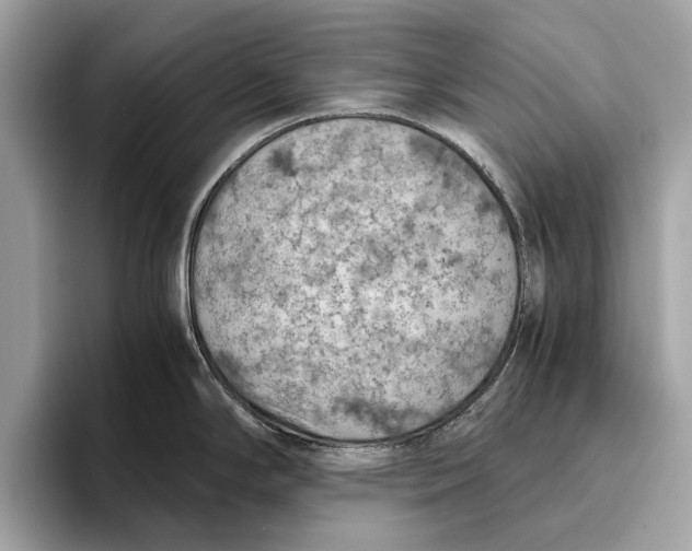 X0000096441294200802141444