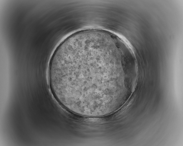 X0000096441295200802141444