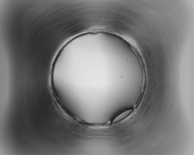 X0000096441296200802141444