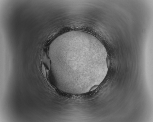 X0000096441297200802141444