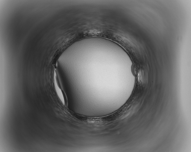 X0000096441299200802141444