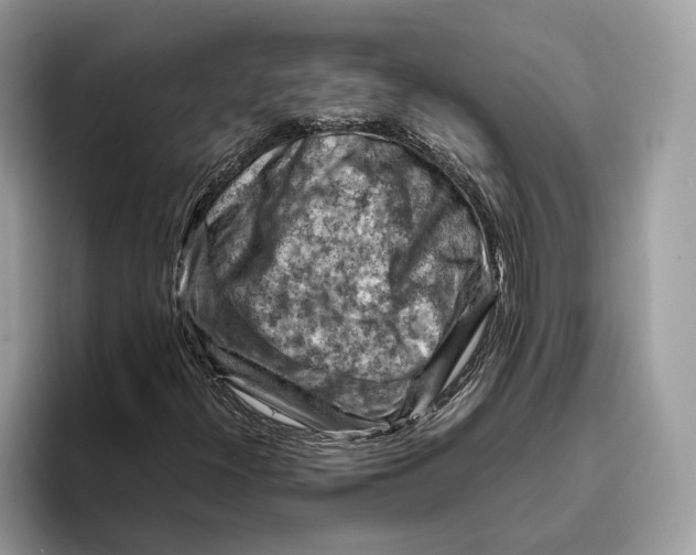 X0000096441300200802141444