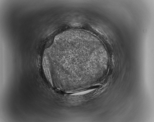 X0000096441301200802141444