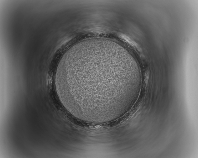 X0000096441302200802141444