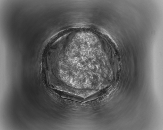 X0000096441304200802141444