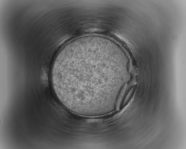 X0000096441305200802141444