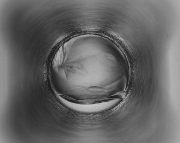 X0000096441306200802141444