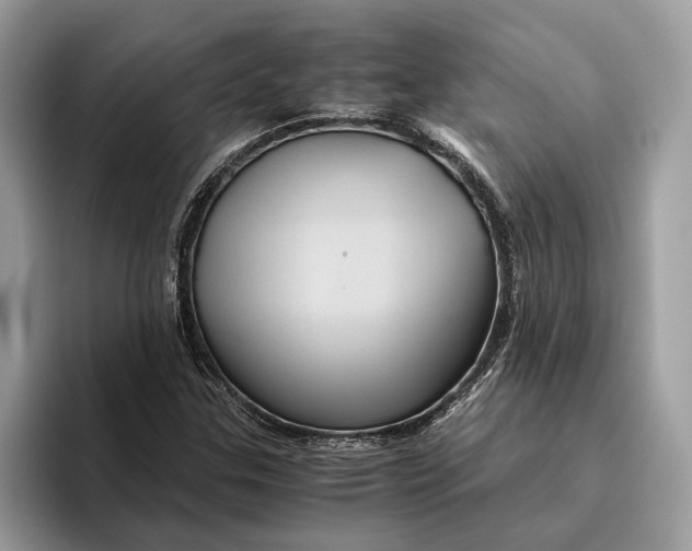 X0000096441307200802141444