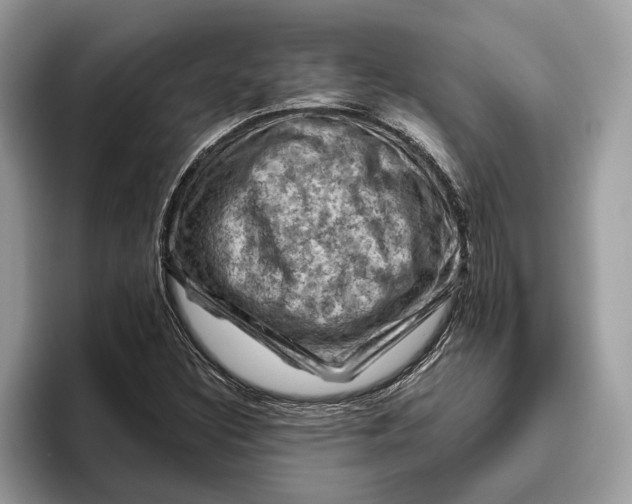 X0000096441308200802141444