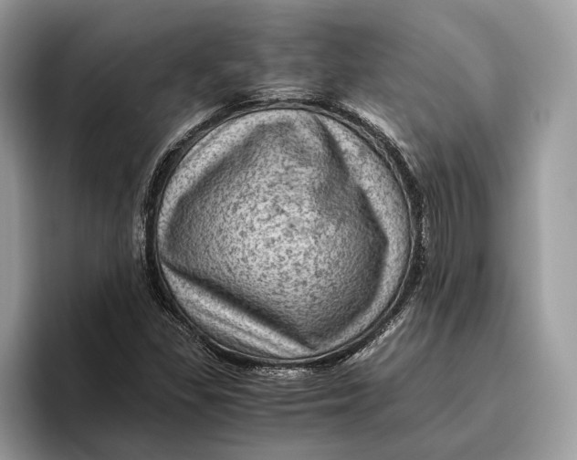 X0000096441309200802141444