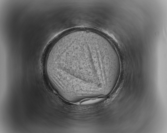 X0000096441311200802141444