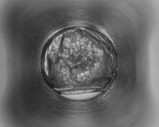 X0000096441312200802141444