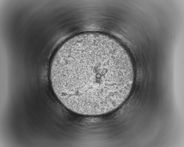 X0000096441314200802141444