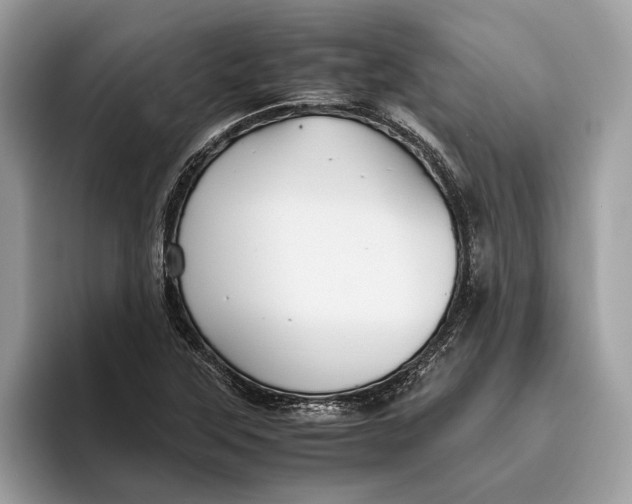 X0000096441315200802141444