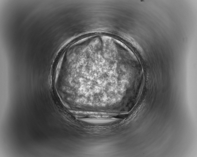 X0000096441316200802141444