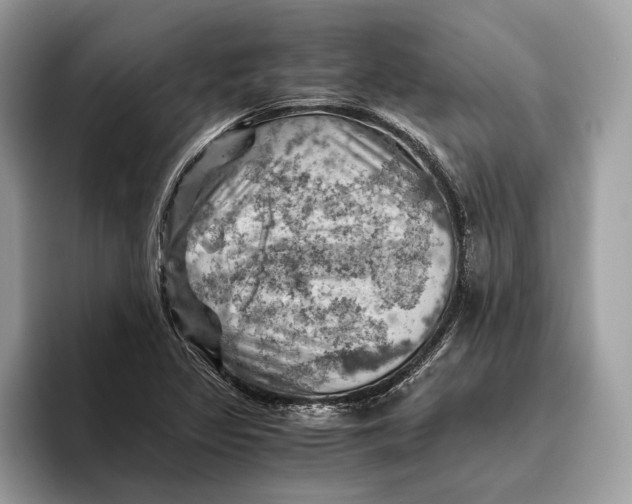 X0000096441317200802141444