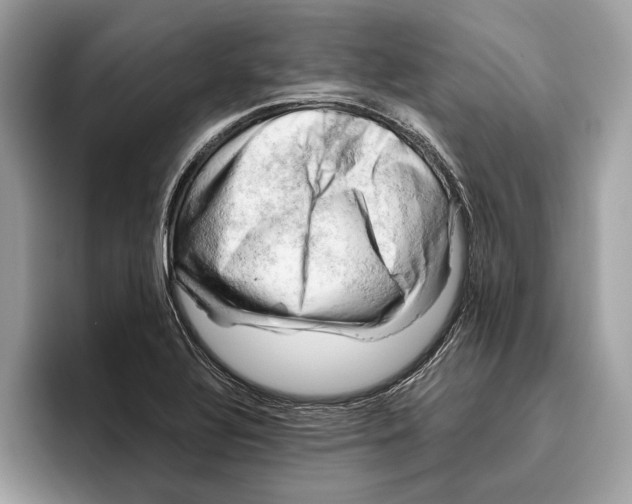 X0000096441320200802141444