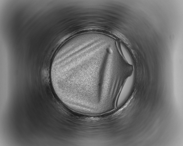 X0000096441321200802141444