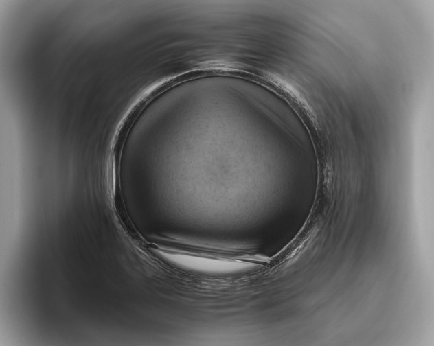 X0000096441323200802141444