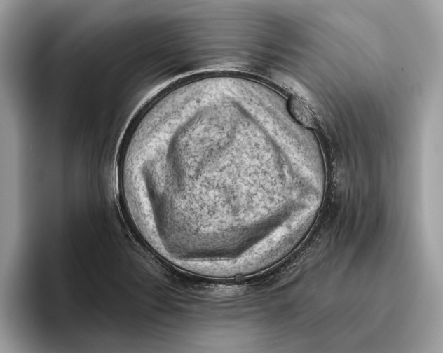 X0000096441324200802141444