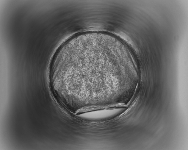 X0000096441325200802141444