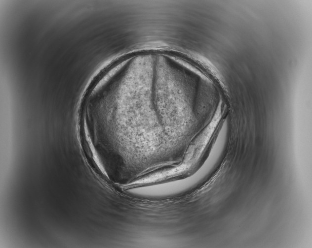 X0000096441326200802141444