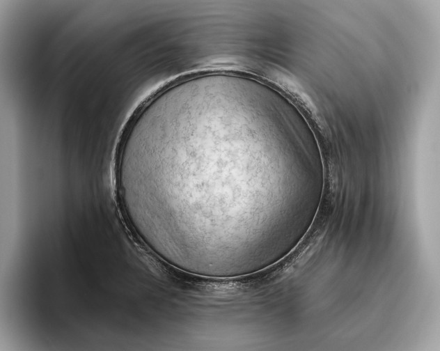 X0000096441328200802141444