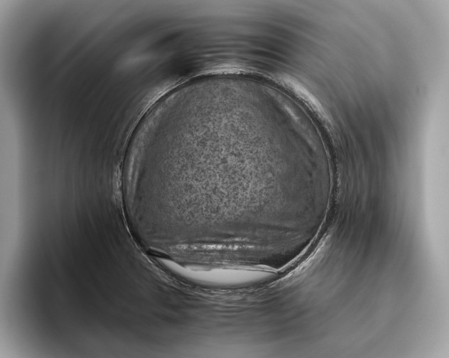 X0000096441329200802141444