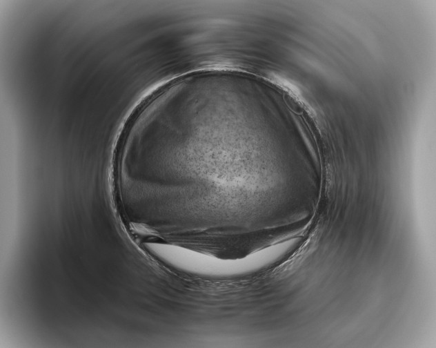 X0000096441331200802141444