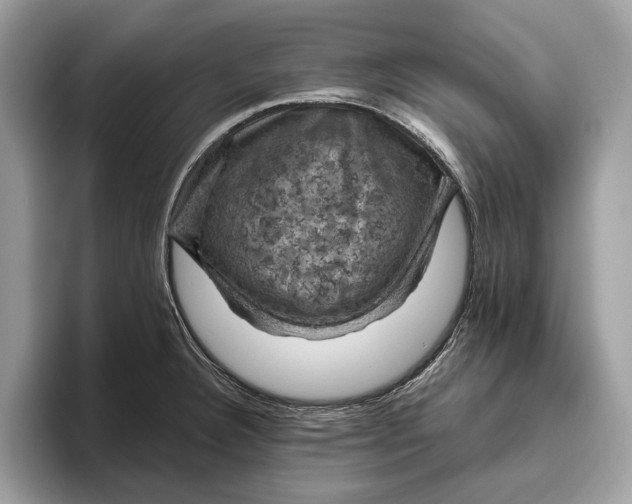 X0000096441332200802141444